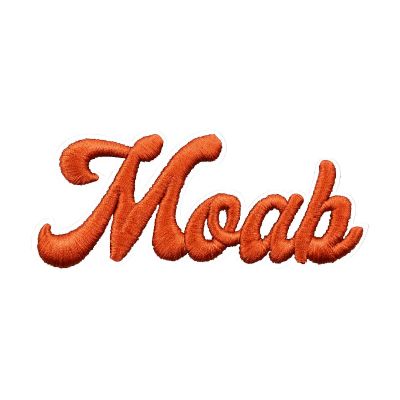 Logo The New Adventures of Moab Embroidery Design Brown Color Manufacturers, Suppliers in Houston